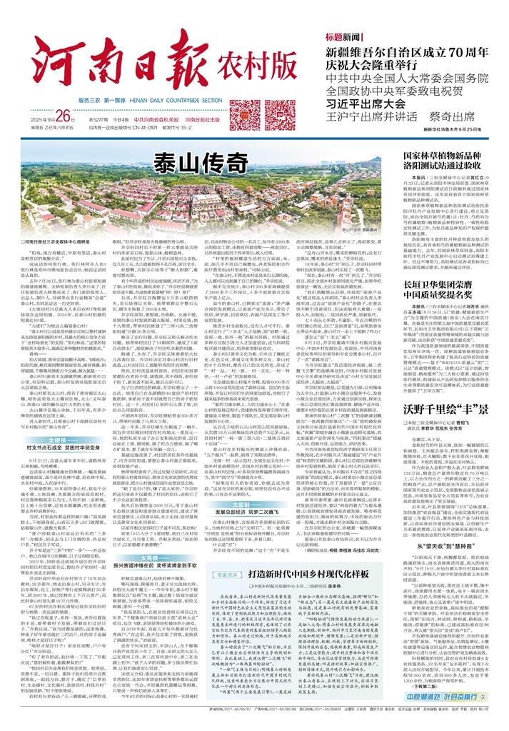 河南日报 （农村版）