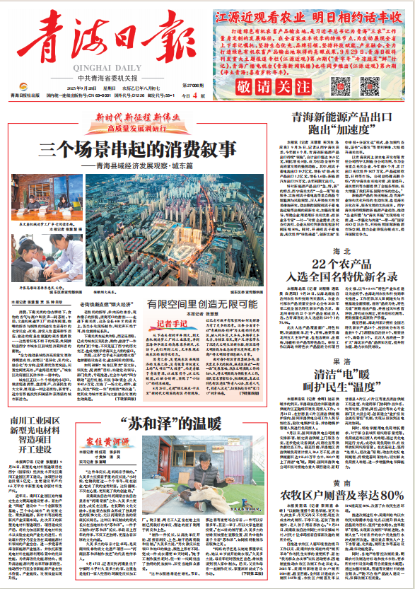 青海日报 （理论特刊）