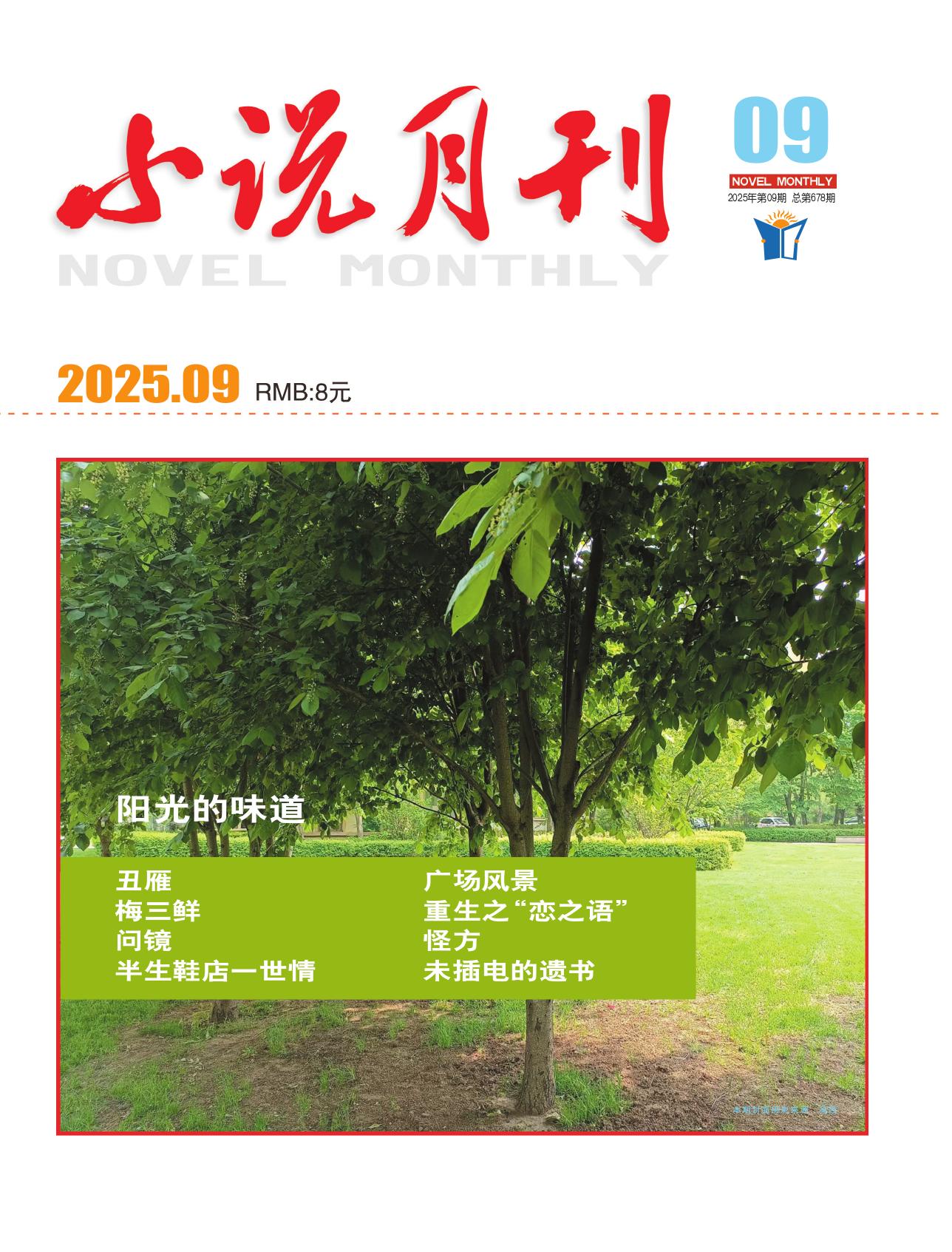 小说月刊（知网）